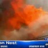 18 Firefighters Injured In 4-Alarm Bronx Blaze